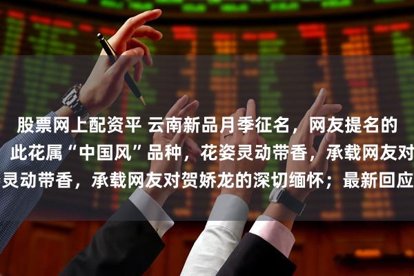 股票网上配资平 云南新品月季征名，网友提名的“娇龙月季”断层领先！此花属“中国风”品种，花姿灵动带香，承载网友对贺娇龙的深切缅怀；最新回应来了