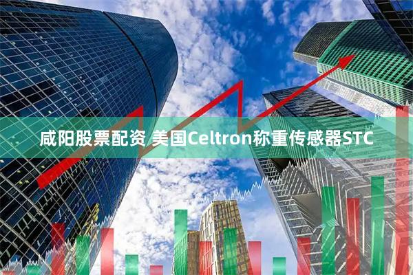 咸阳股票配资 美国Celtron称重传感器STC